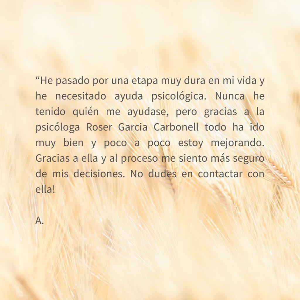 El texto del párrafo (11)