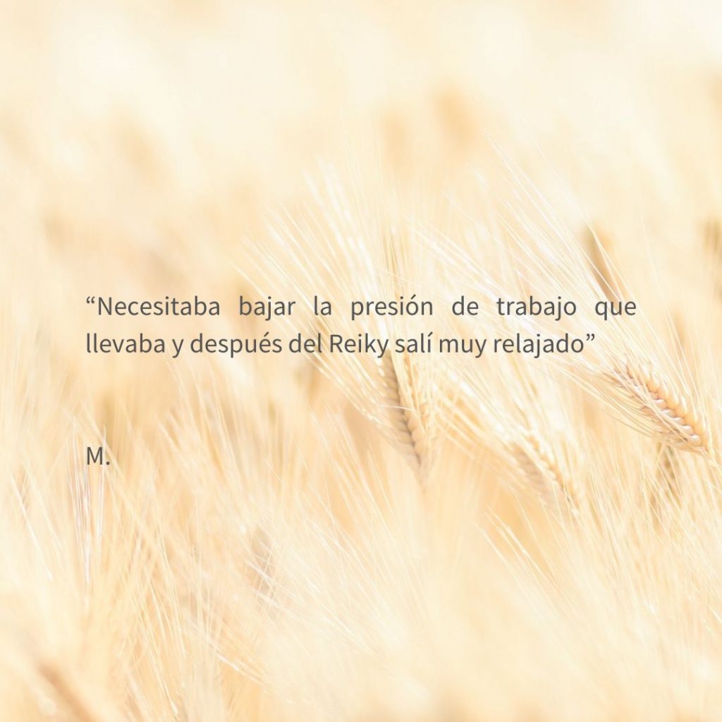 El texto del párrafo (5)