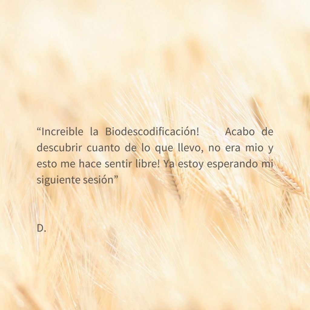 El texto del párrafo (8)